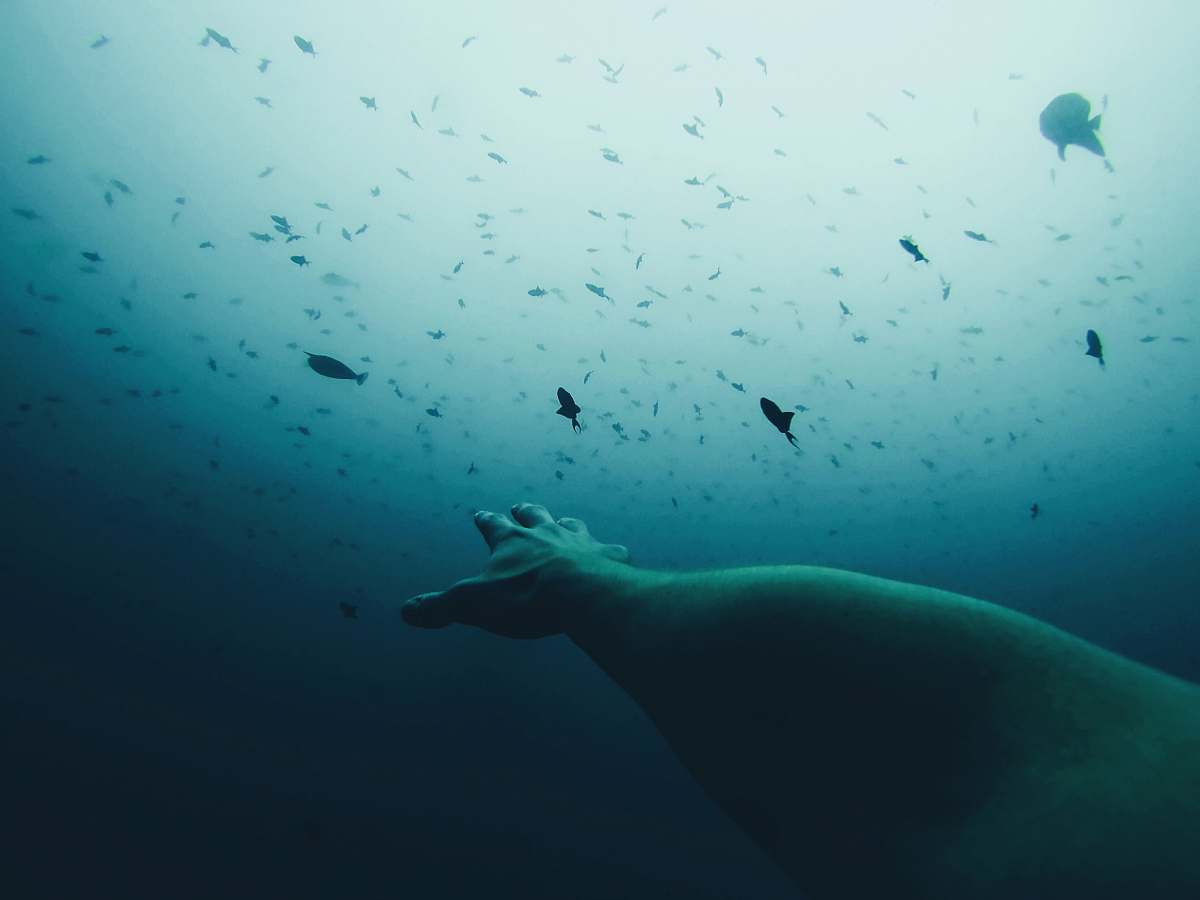 water person's hand underwater reaching above water blue