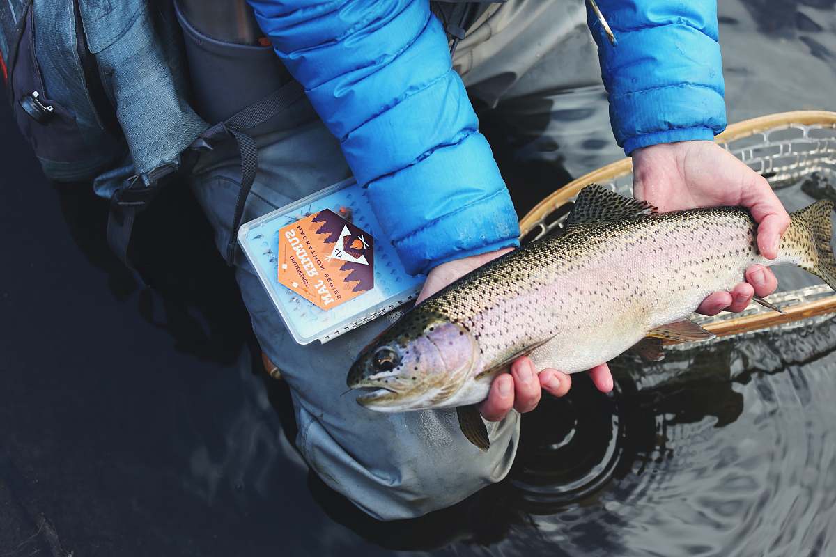 fish person holding gray and beige fish trout