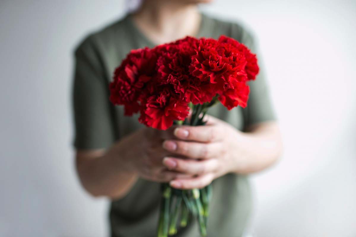 blossom selective focus photography of person holding red rose bouquet carnation