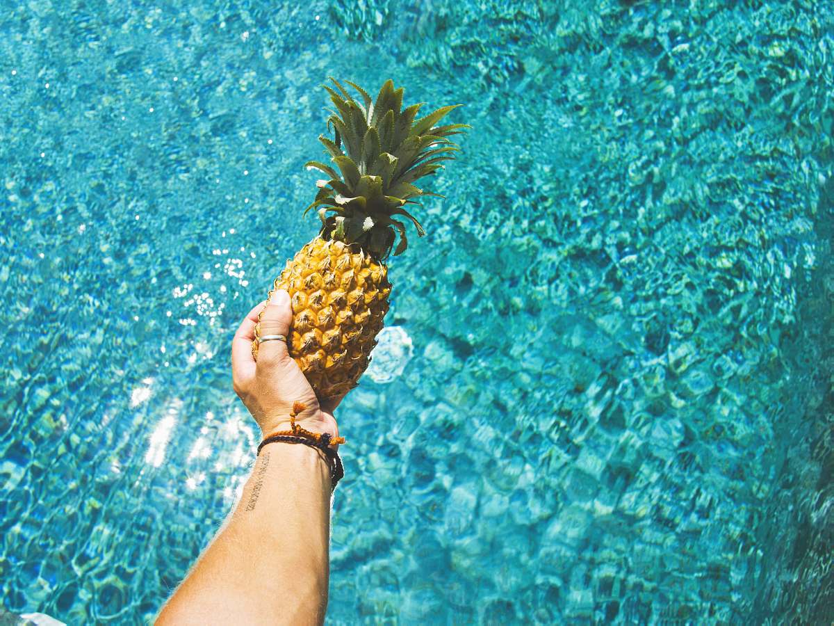 pineapple person holding yellow pineapple flora