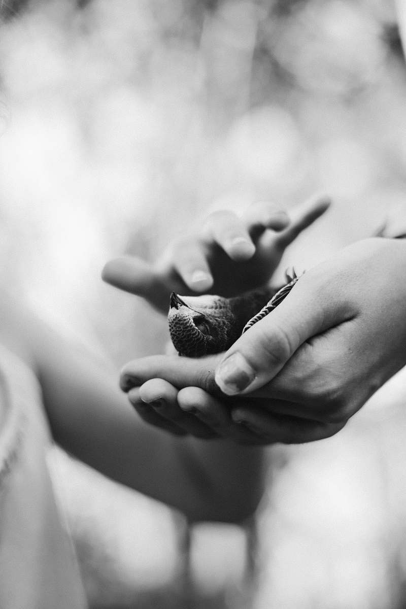 black-and-white grayscale photo of bird on person's hand bird