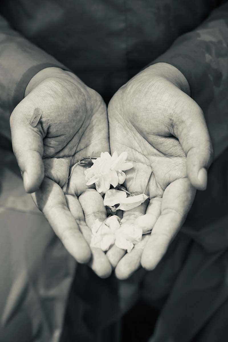 finger human hands with flowers grey