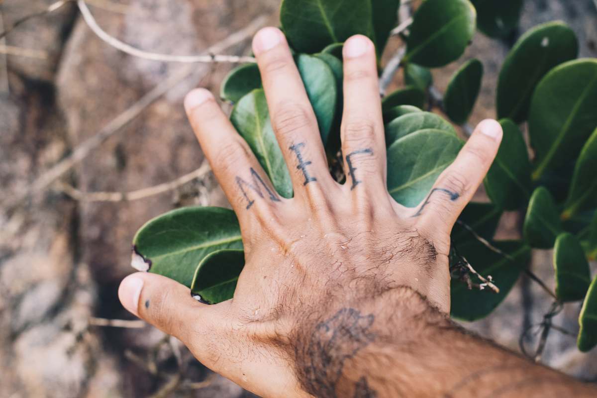 finger left human hand on green-leafed plants skin