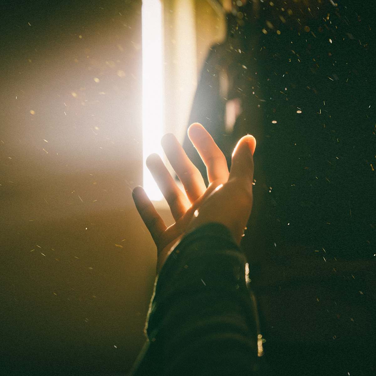 flare left human palm close-up photography light