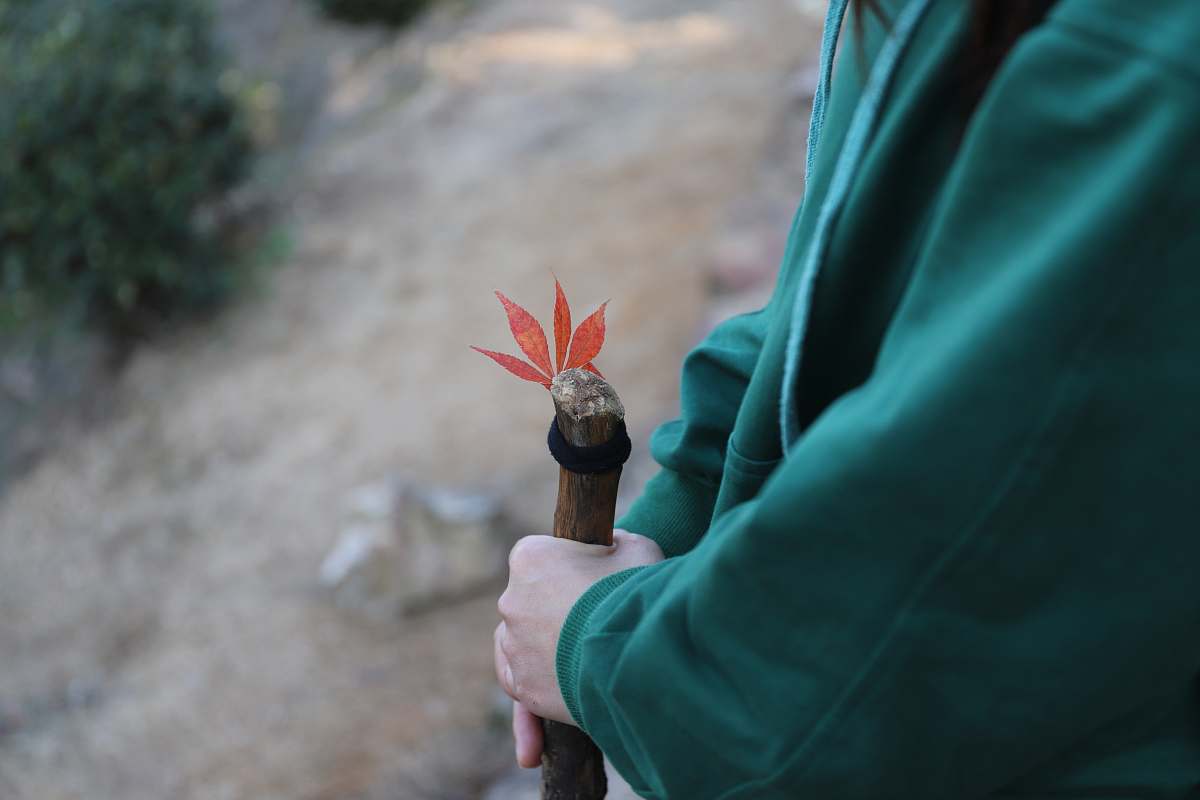 leaf person holding brown wooden stick foliage