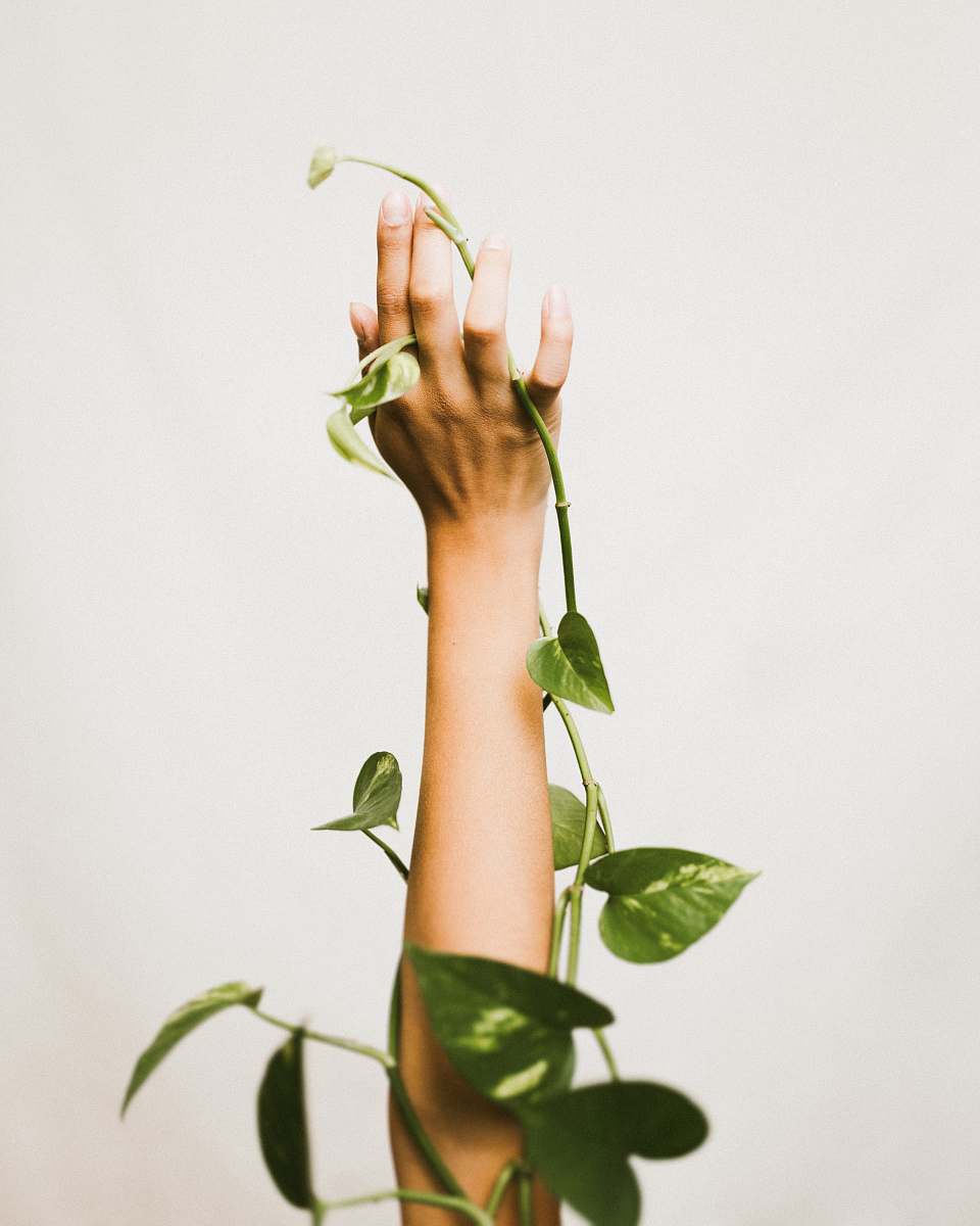plant person holding ivy plant wrist