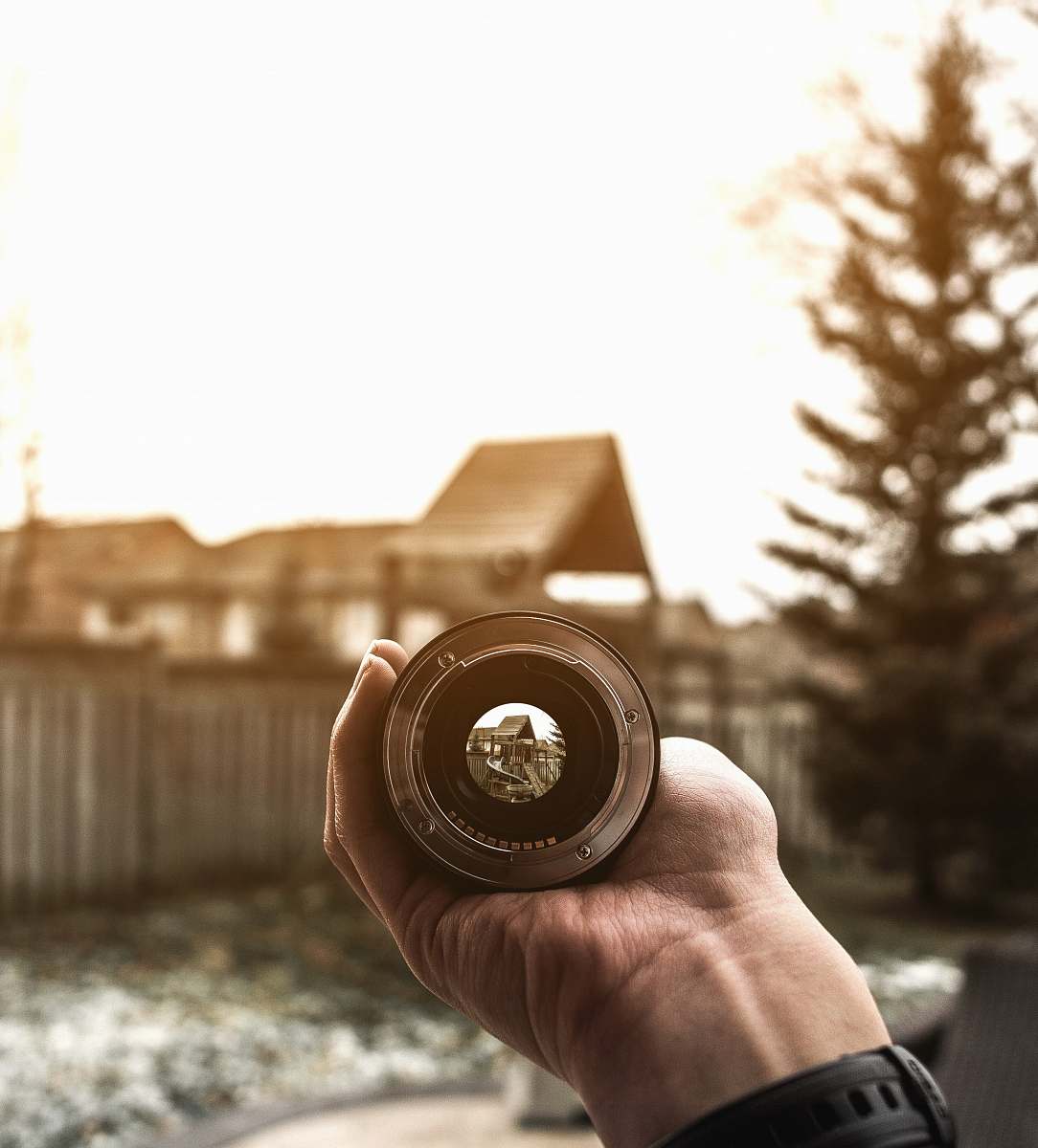 tree person holding telescope lens