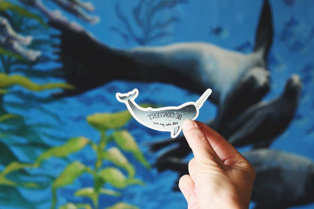 ocean person holding whale decal blue