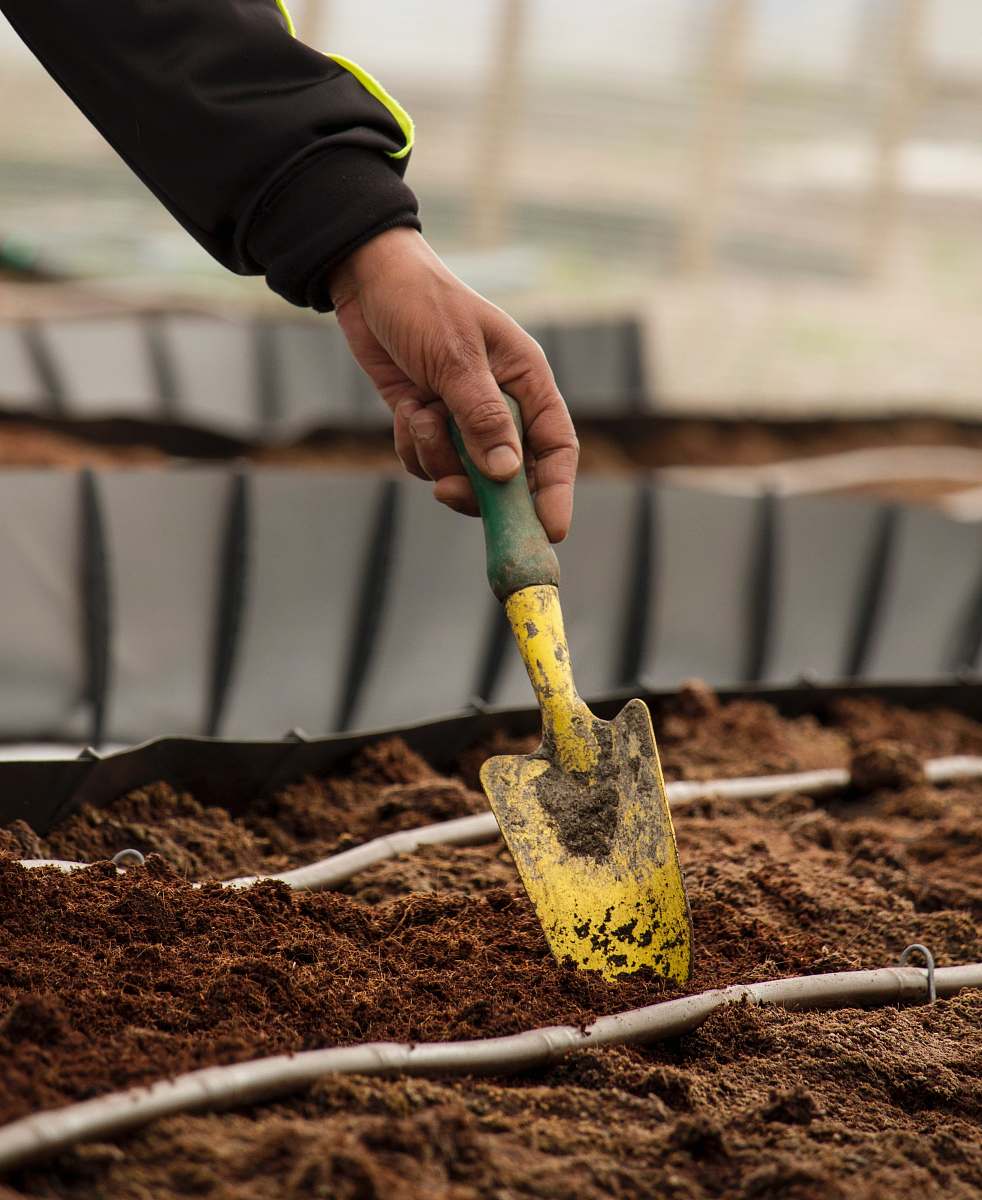 person person holding yellow and green gardening shovel wrist