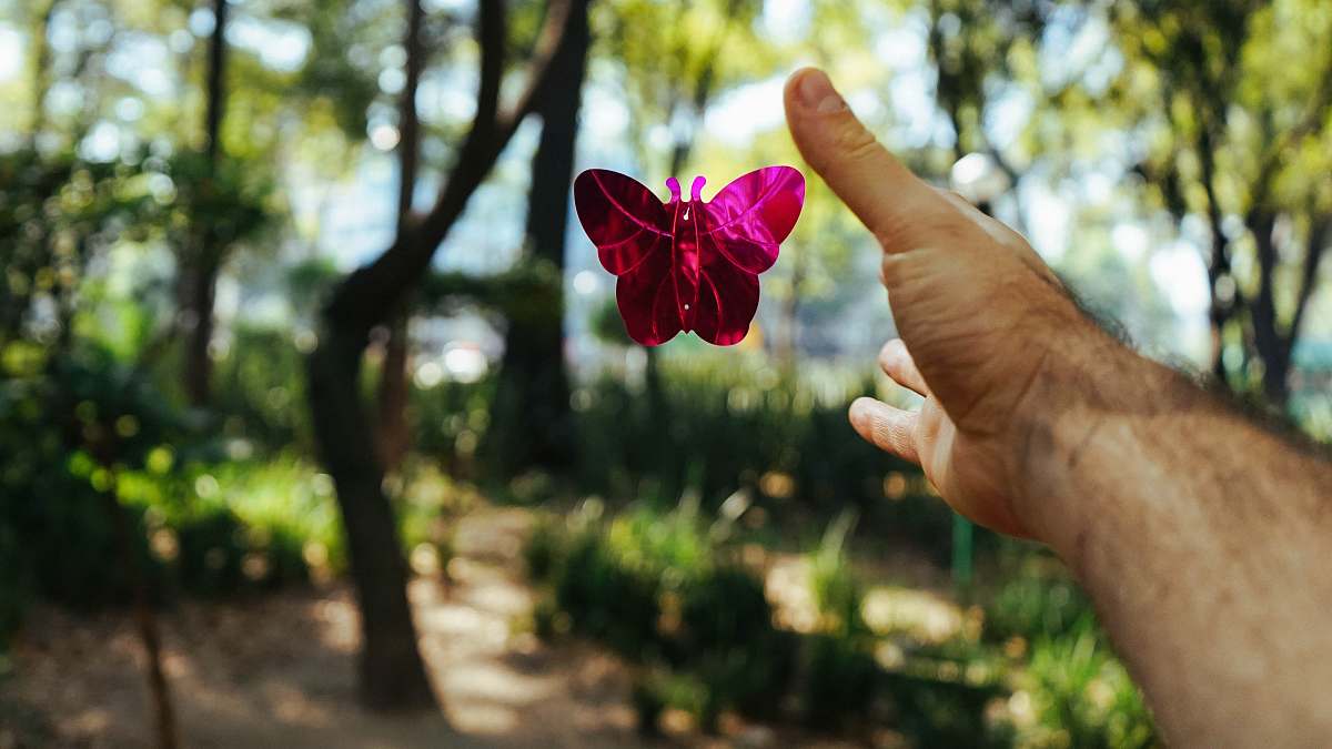 arm person's hand about to catch a pink butterfly toy at daytime butterfly