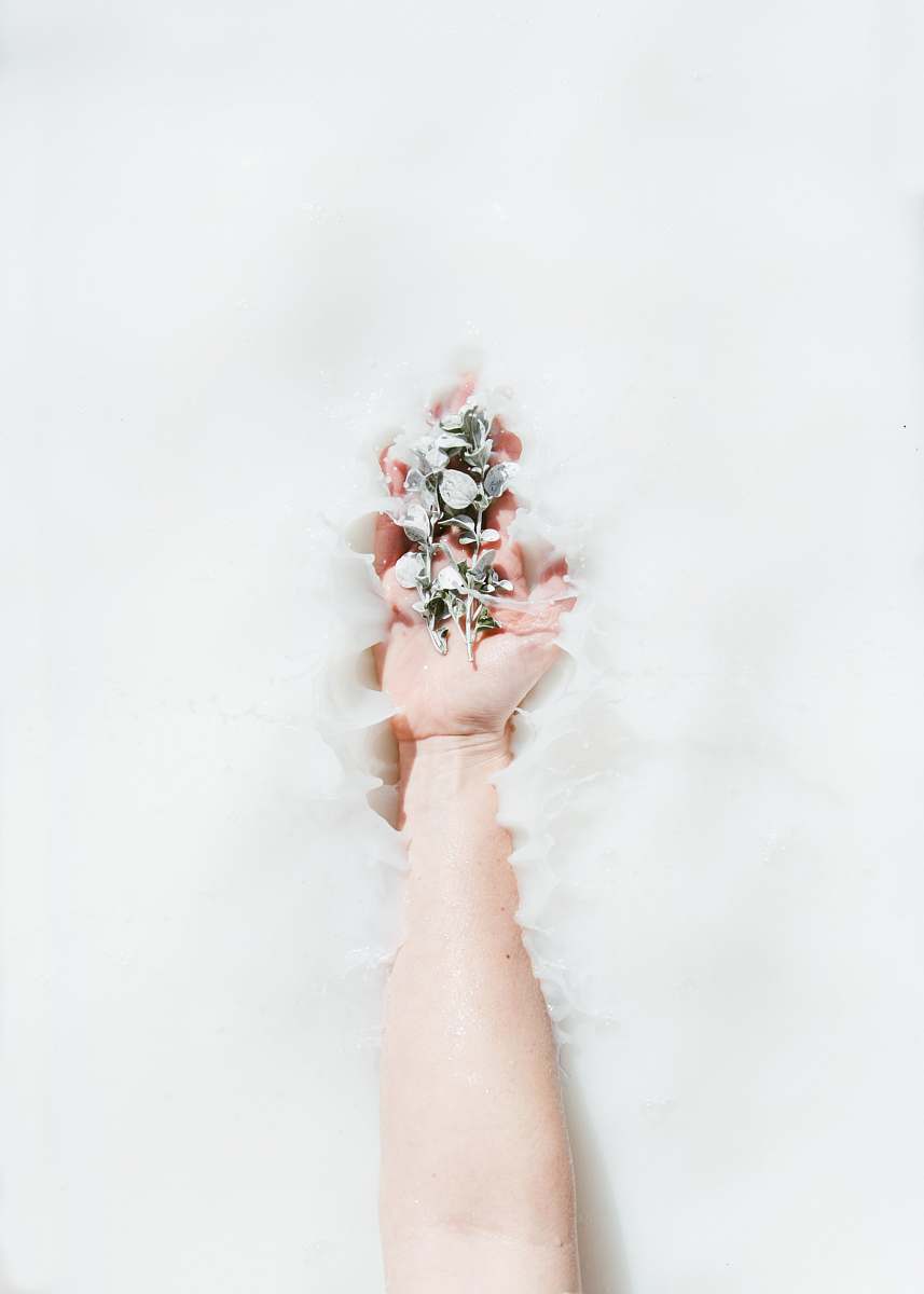 nature person's hand holding plants on white water outdoors