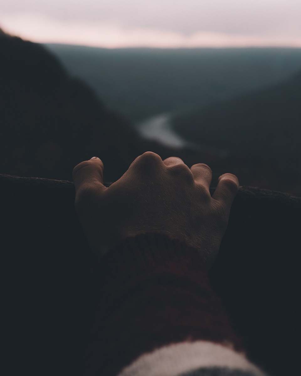 finger person's hand holding railings overlooking winding river animal