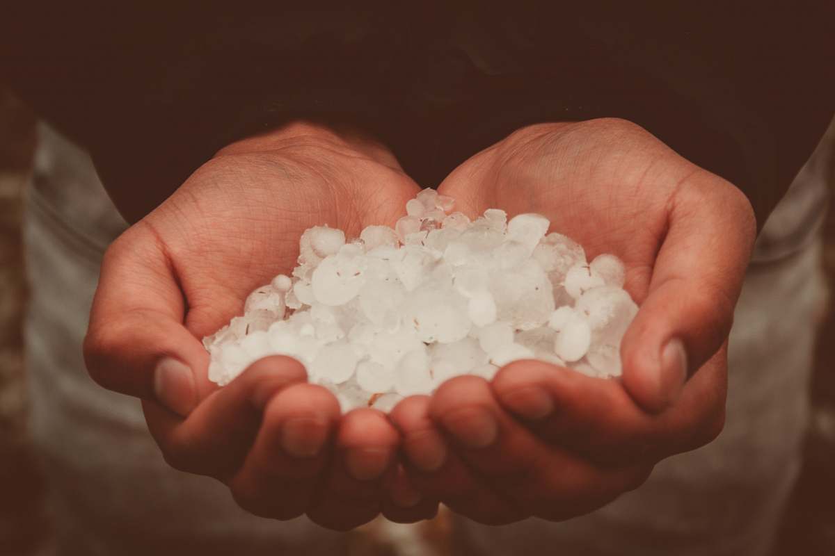 ecuador photograph of person holding snow ices quito