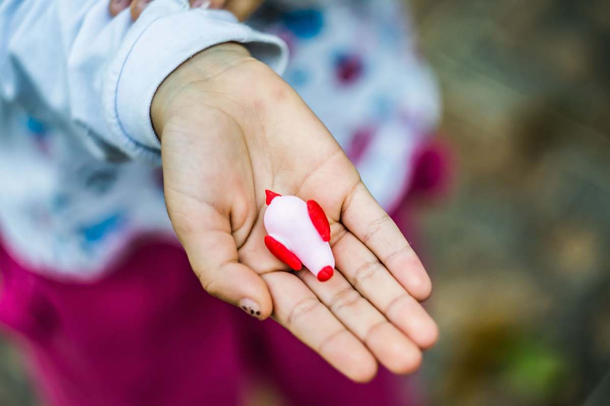 human red and white bird toy on left person's palm people