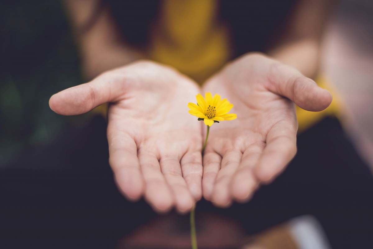 flower selective focus photography of woman holding yellow petaled flowers colombia