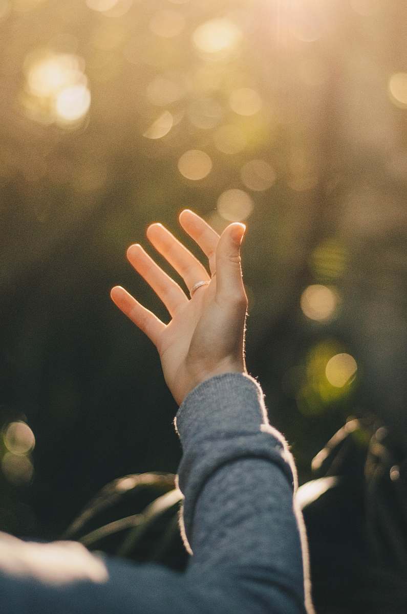 human shallow focus photography of person raising hand people