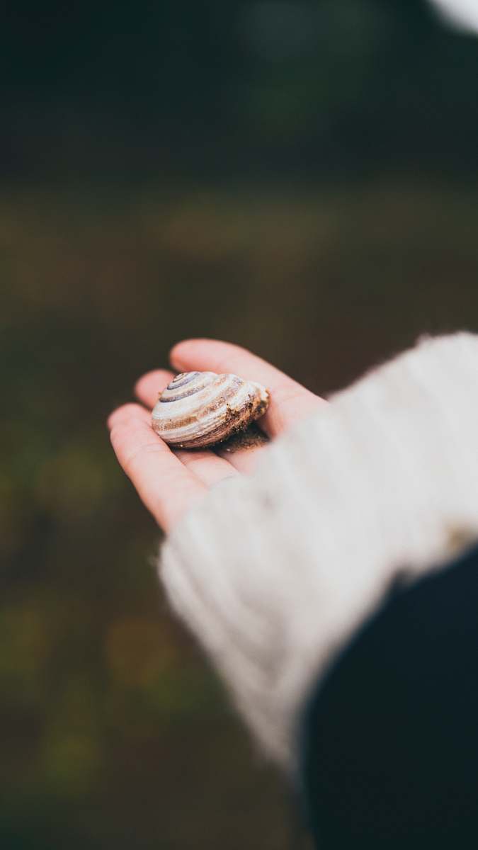 person beige shell finger