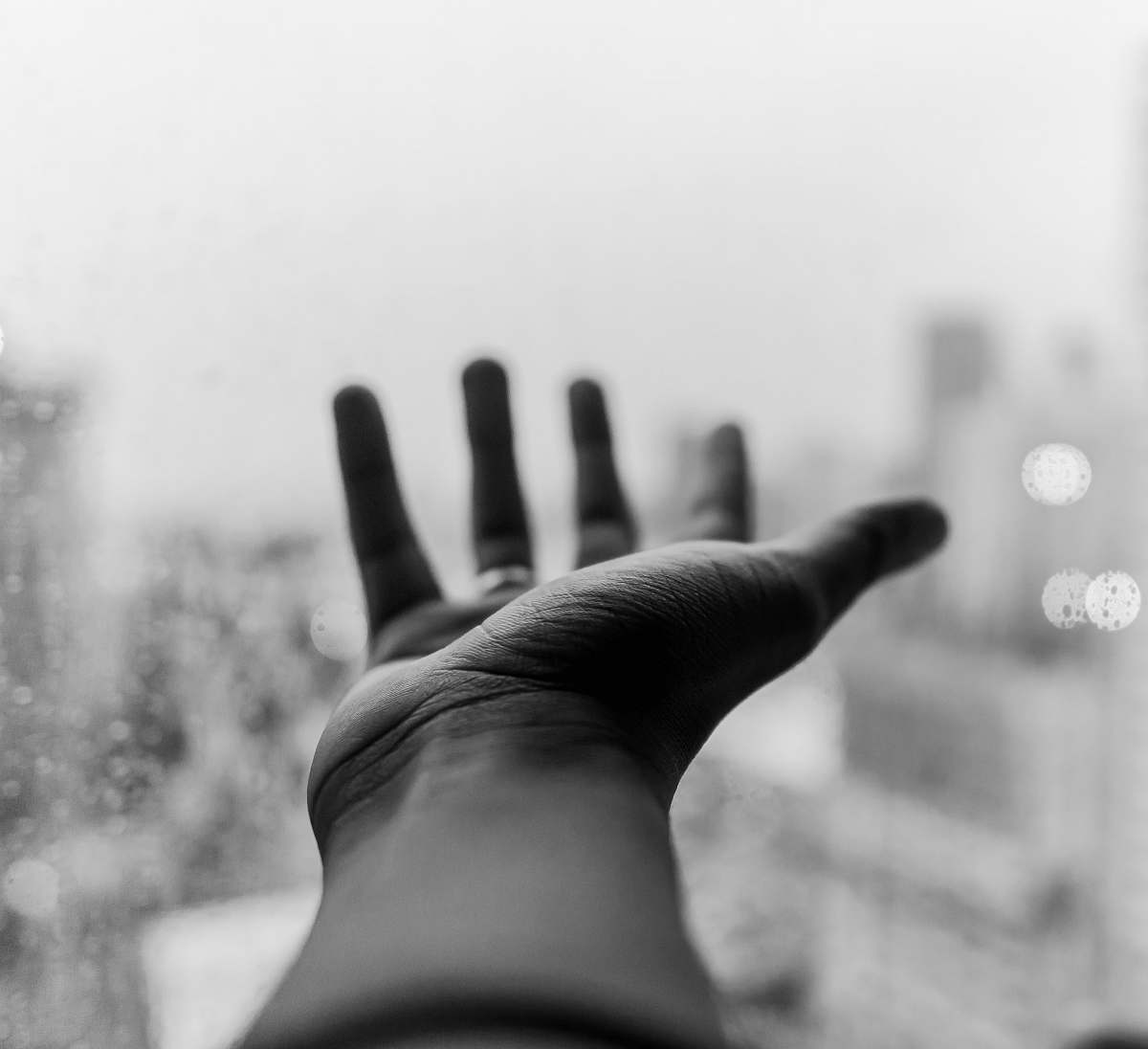 person grayscale photo of left person's hand black-and-white