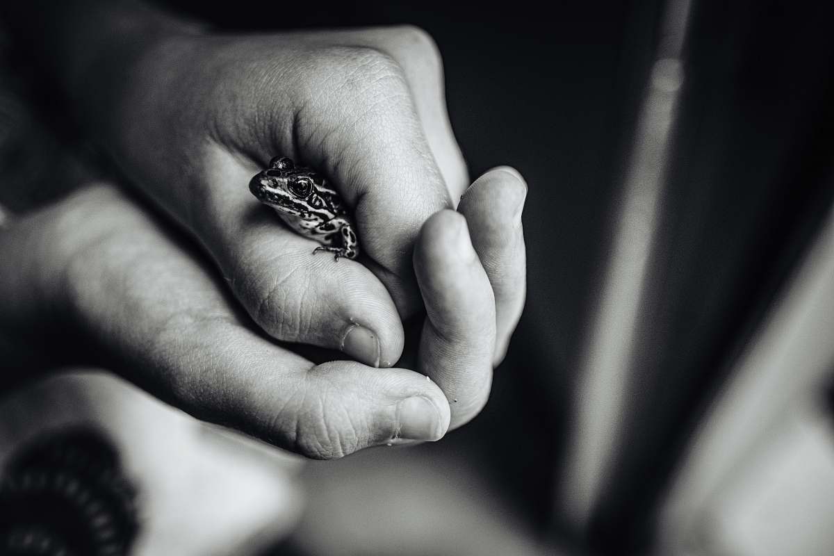 person grayscale photography of frog black-and-white