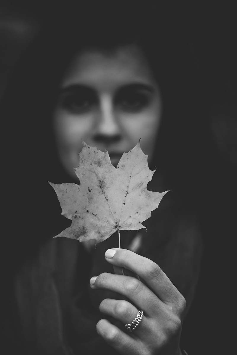 person grayscale photography of maple leaf black-and-white