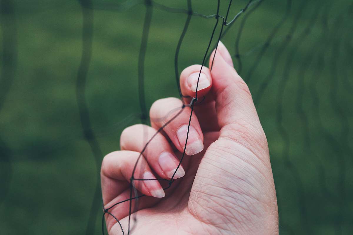 person left human hand close-up photography finger