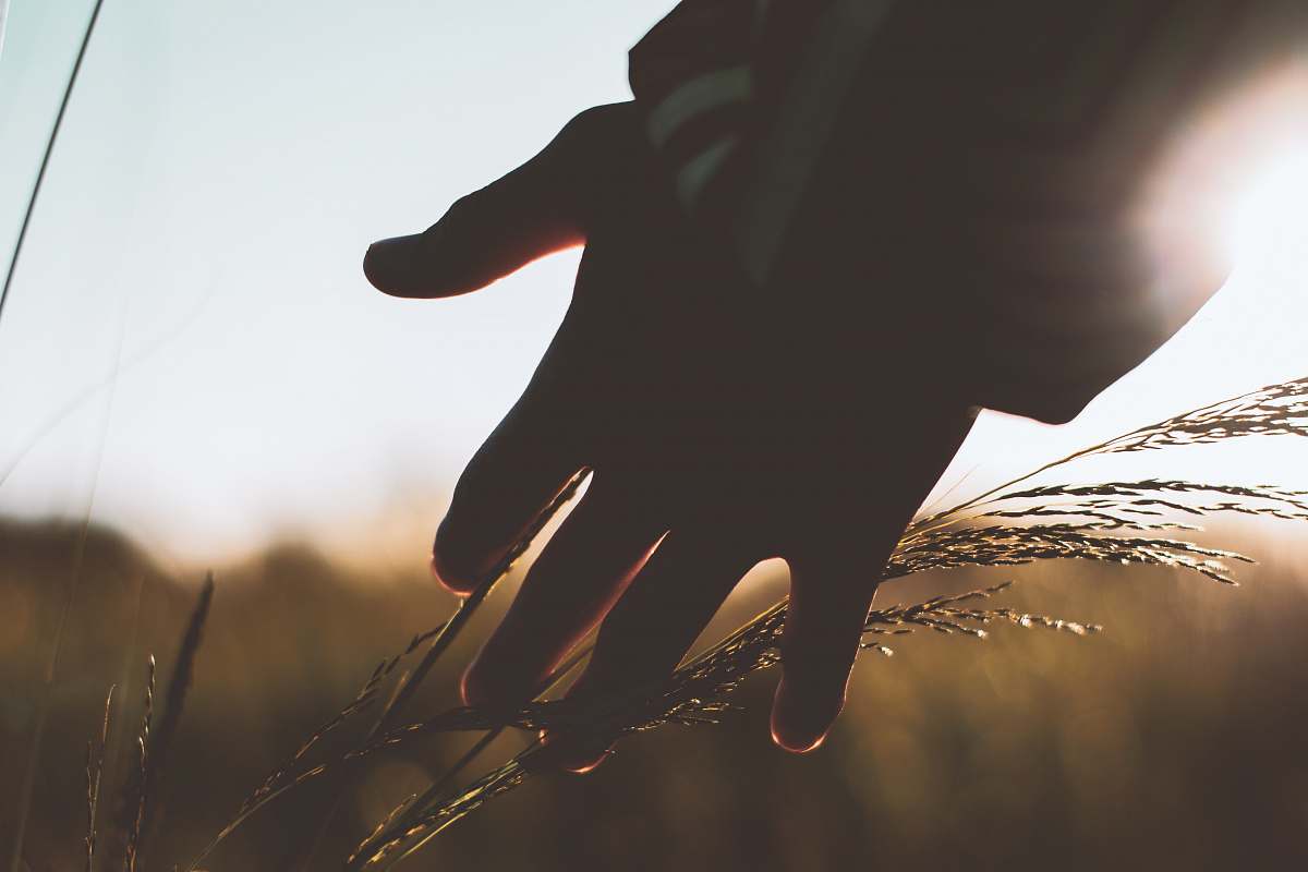 person left person's hand plant