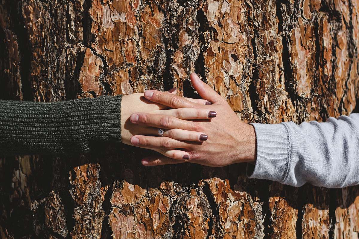 hand man and woman hand connecting on tree trunk tree