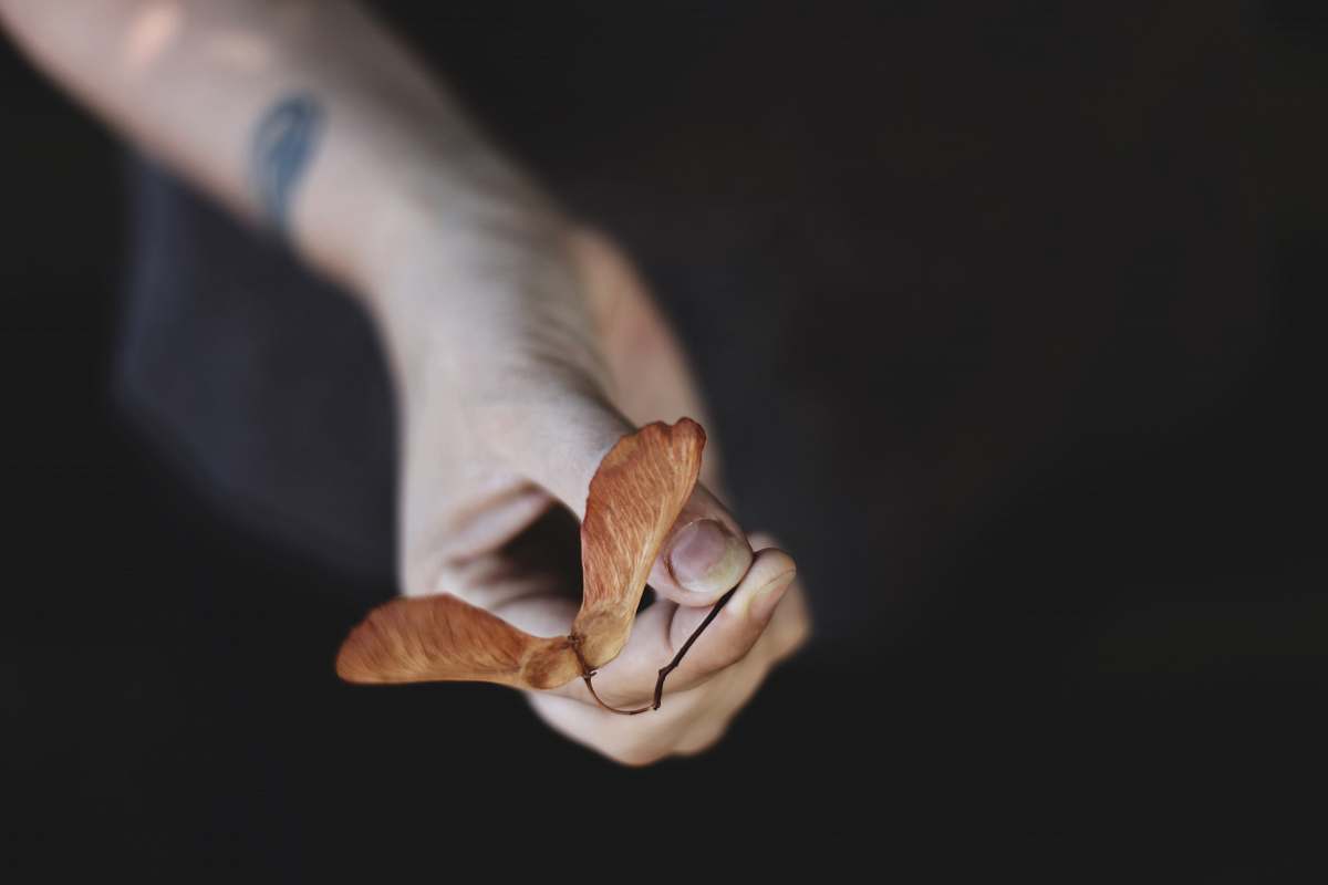 person person holding brown flower people