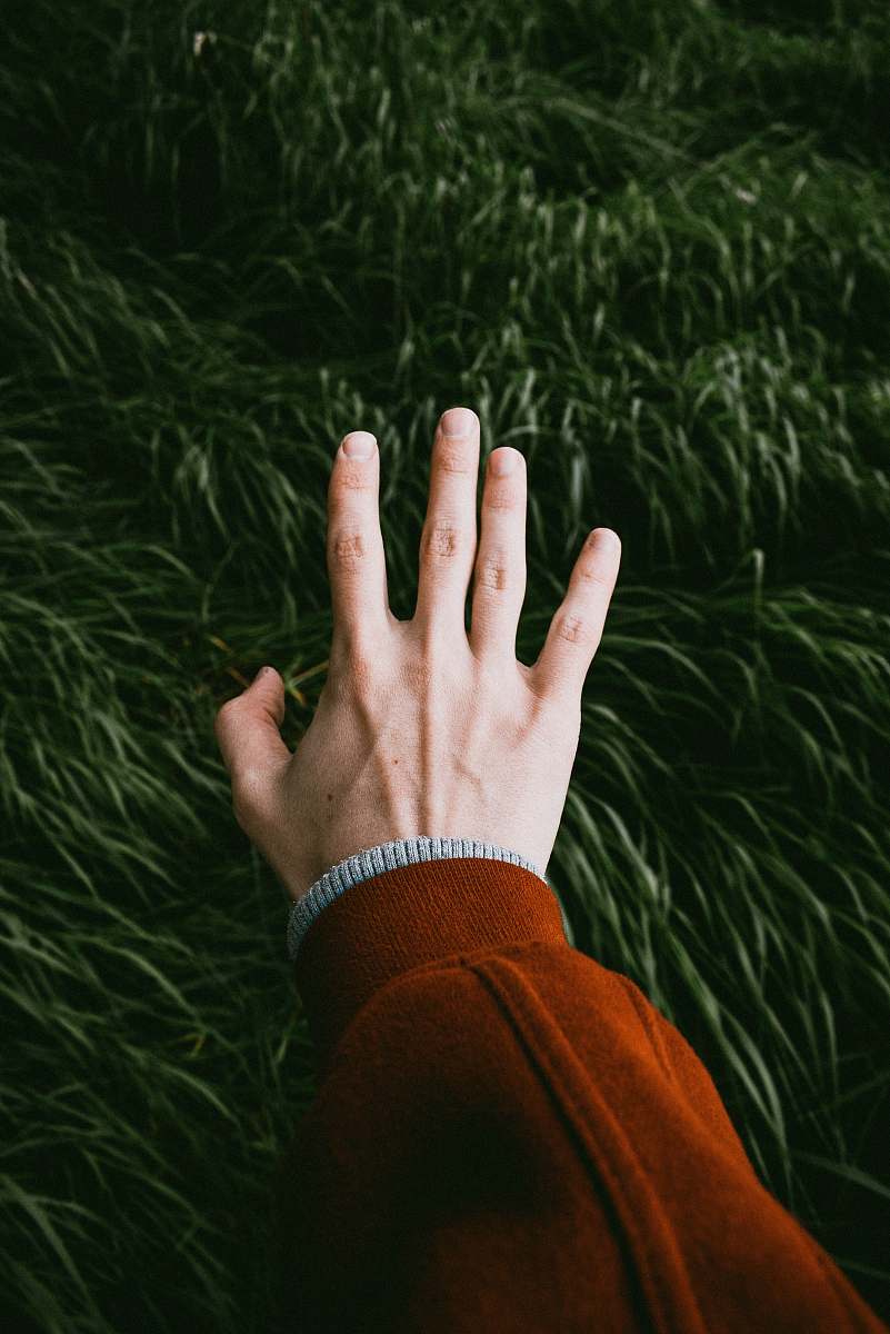 person person touching green grass grass