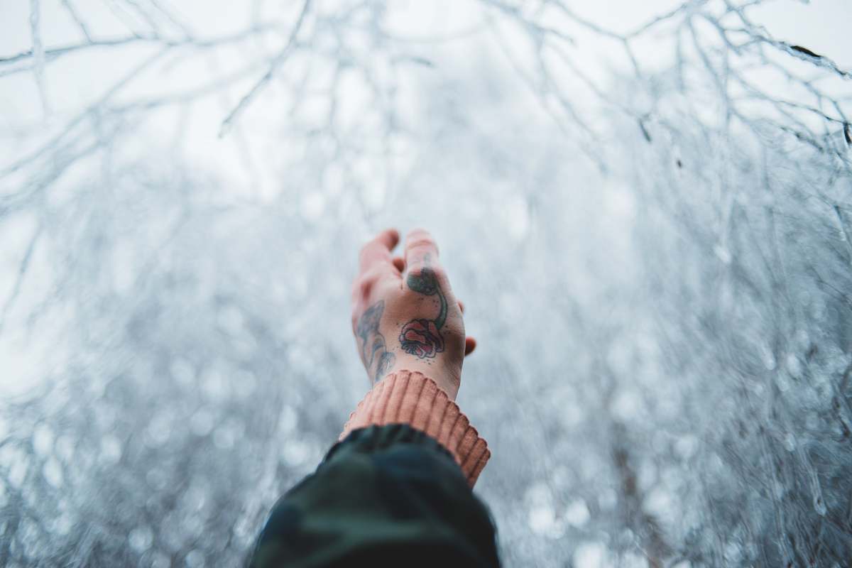 person person's hand pointing to snow-covered tree clothing