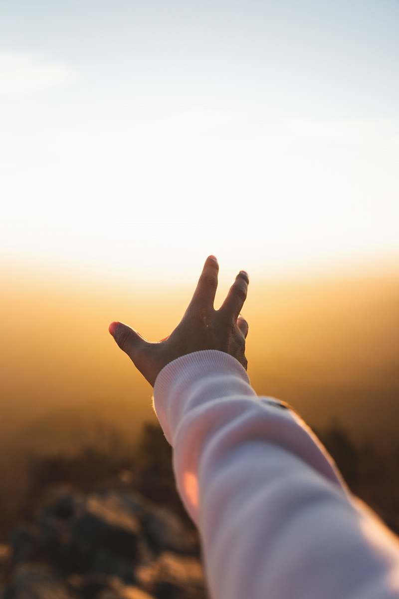 person person's left hand catching sunlught nature
