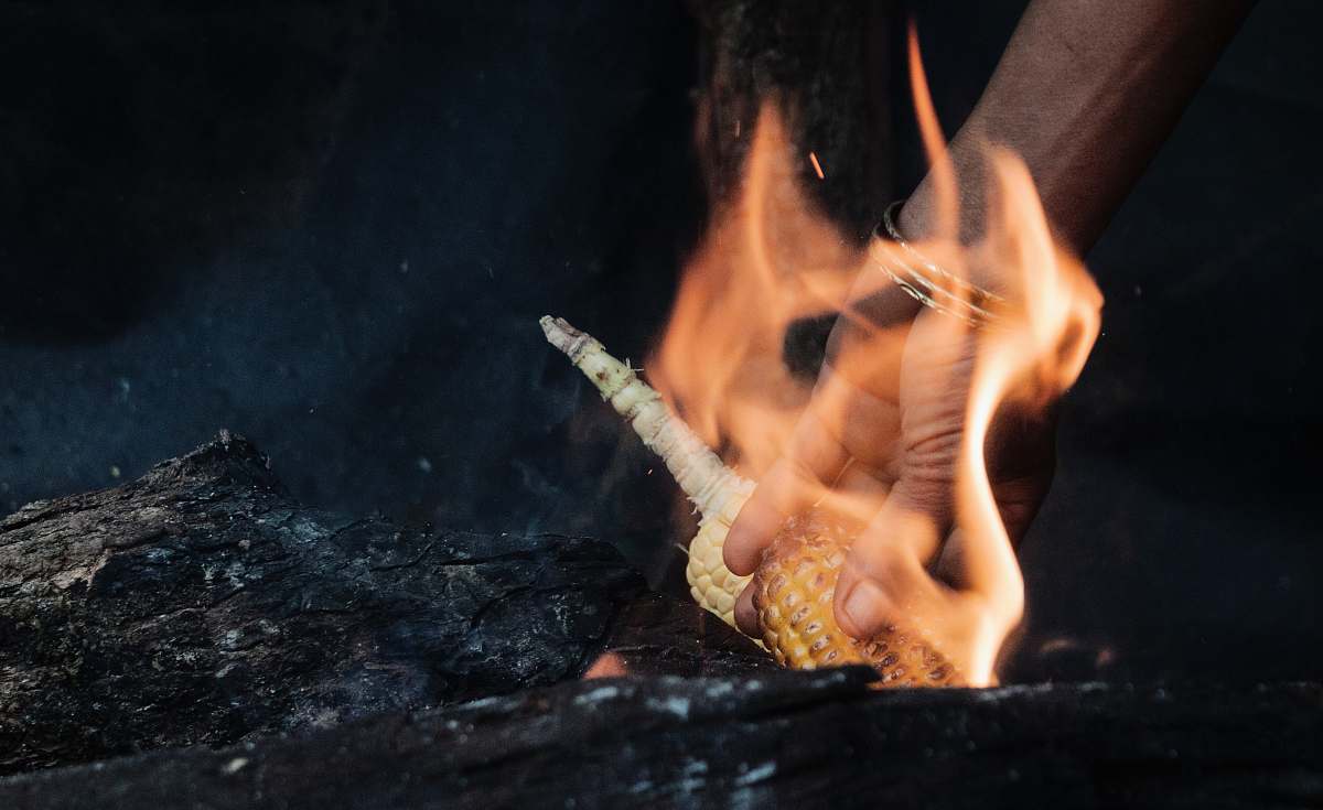person time-lapse photography of person holding corn with fire fire