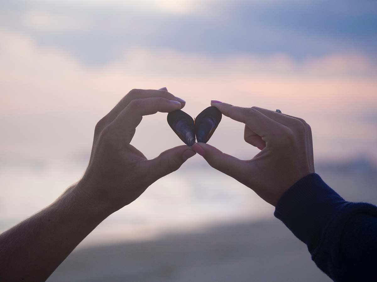 couple person holding black stones shell