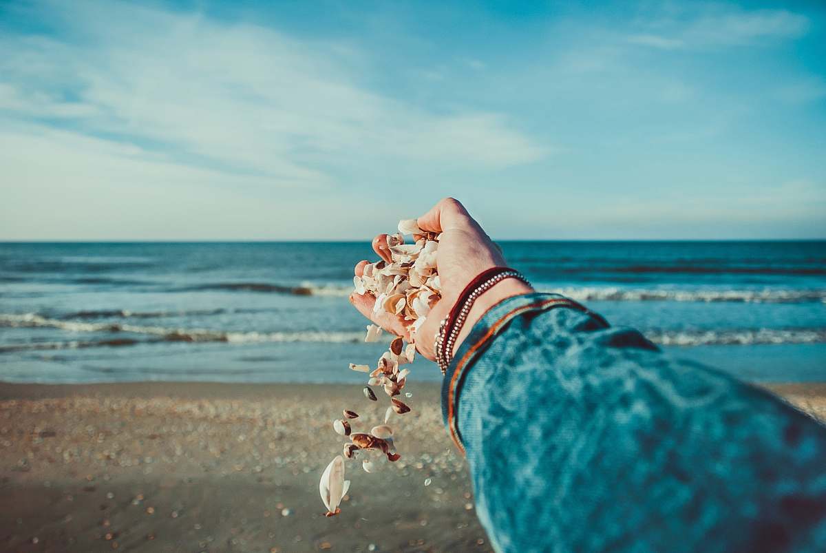 beach person throwing seashells on seashore shells