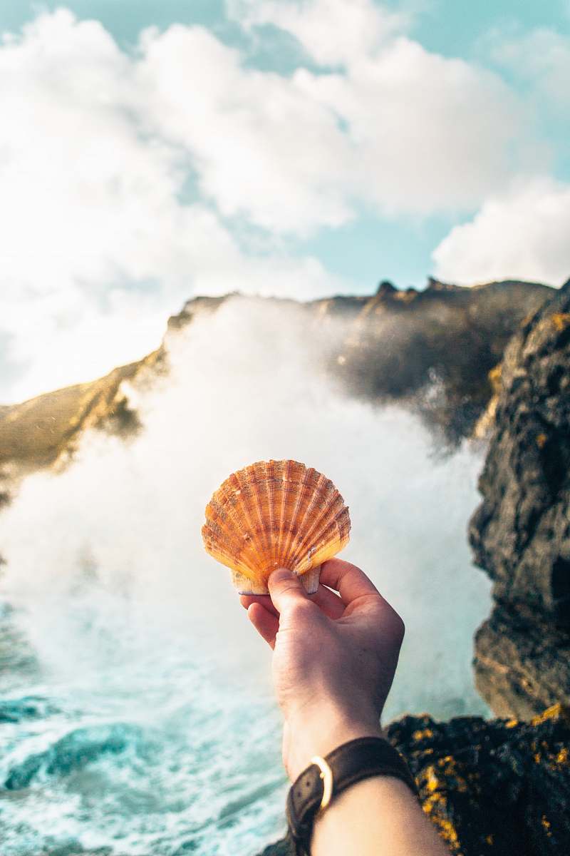 human person holding brown clamshell near cliff person