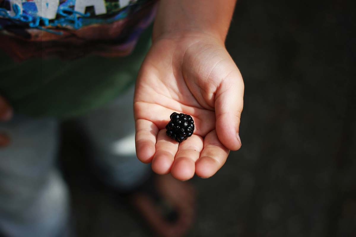 human black raspberry fruit finger