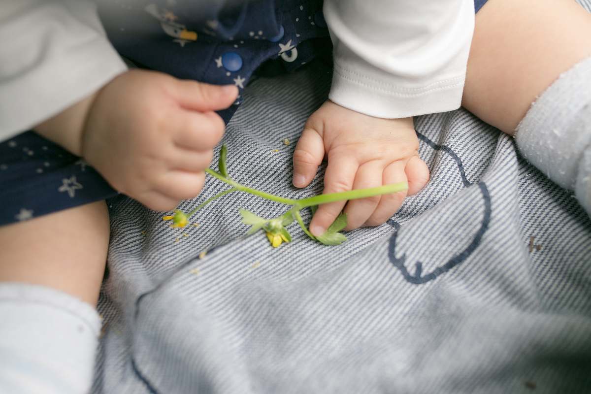 human close-up photo of baby holding petaled flower hand