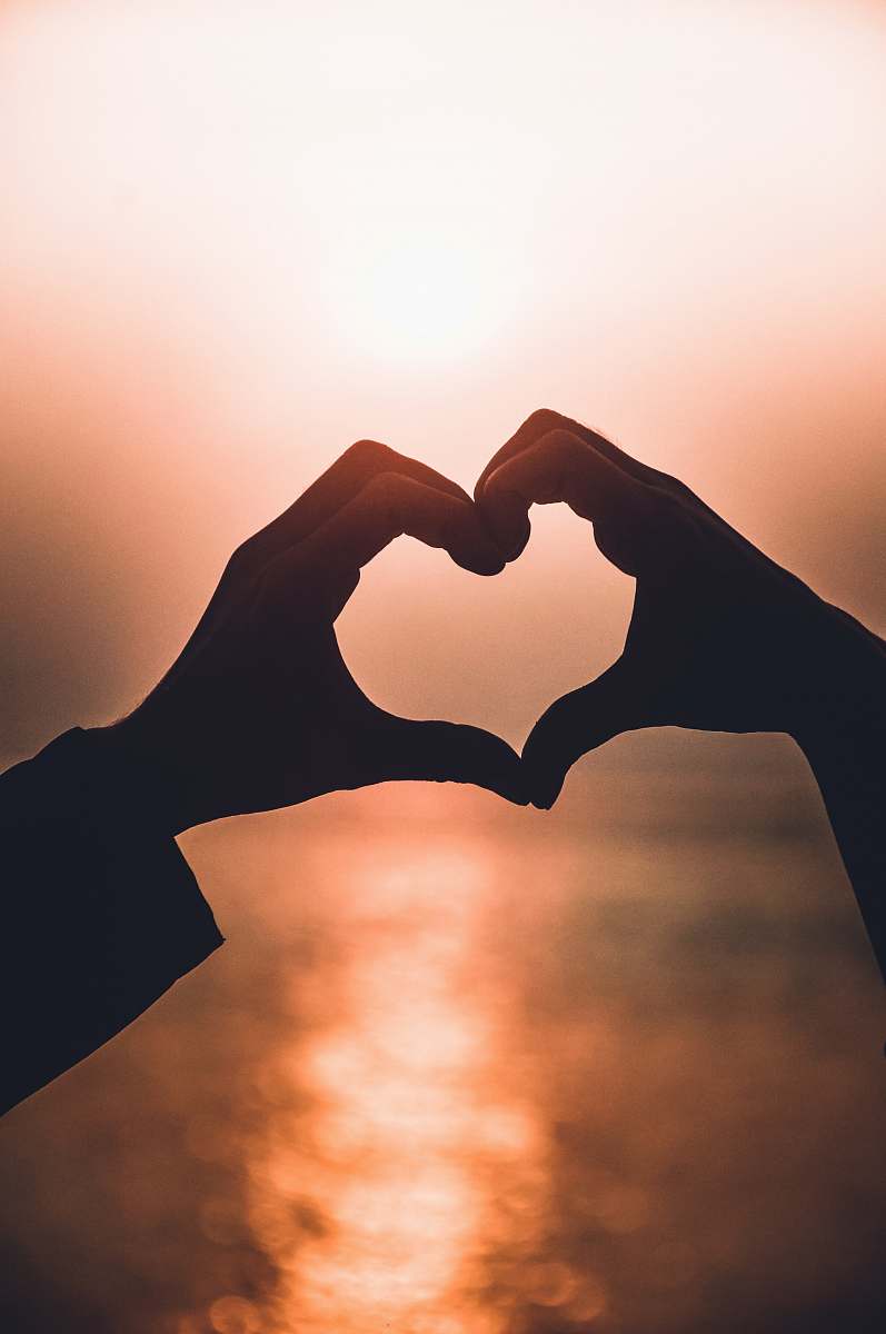 hand heart shape hand illustration holding hands