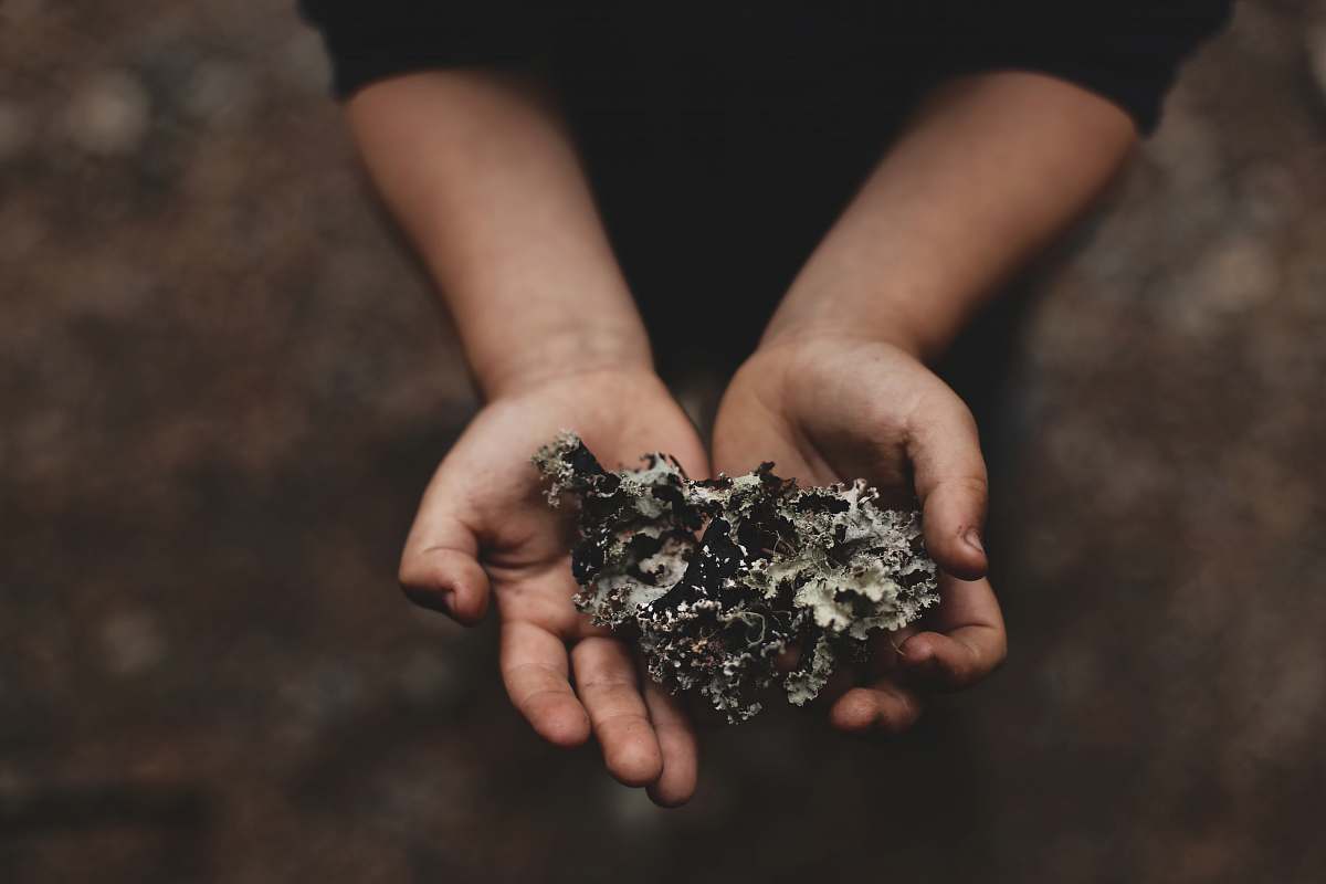 human person holding coral in his palms people