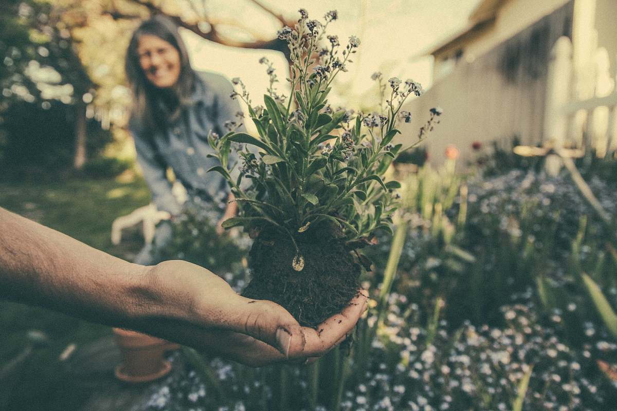 people person showing green plant human