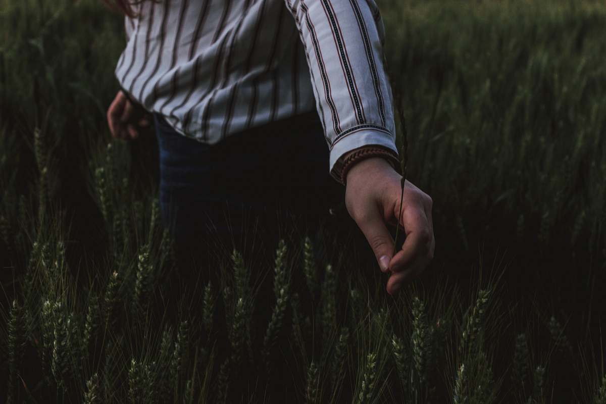 human person touching grasses hand