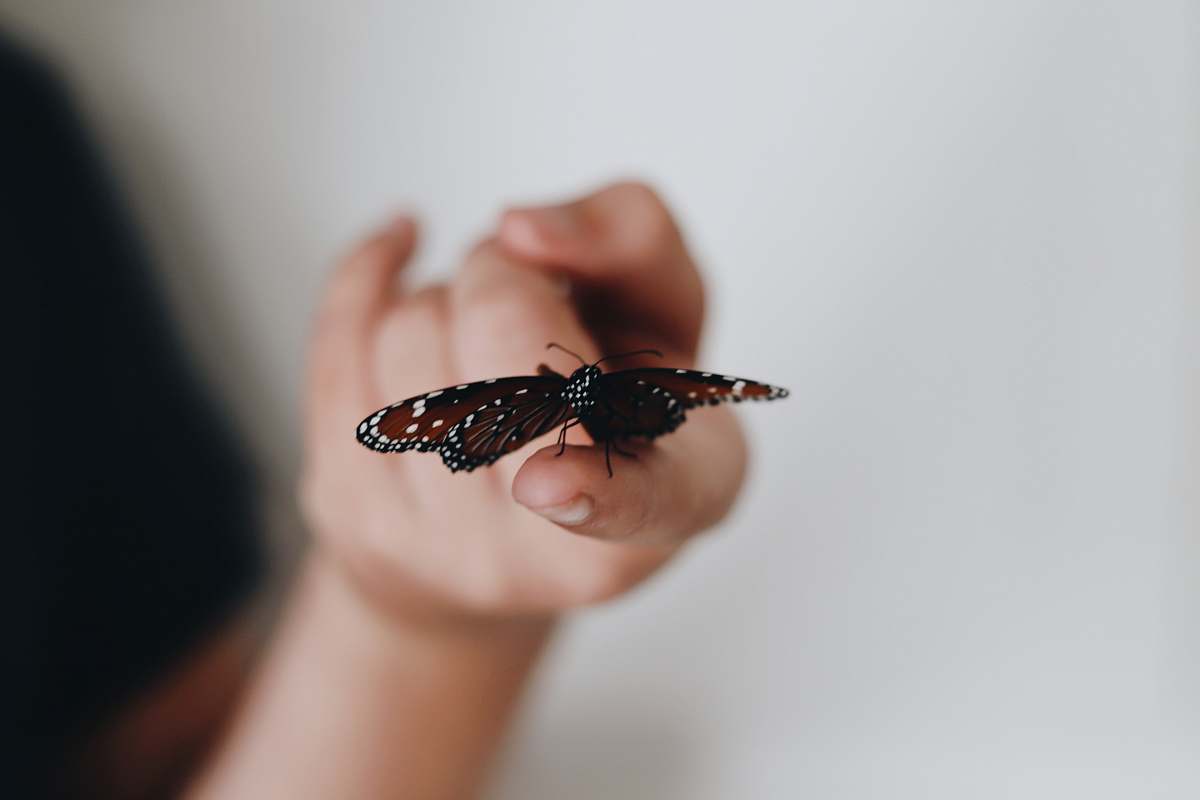 human selective focus photography of red butterfly porches on human finger finger