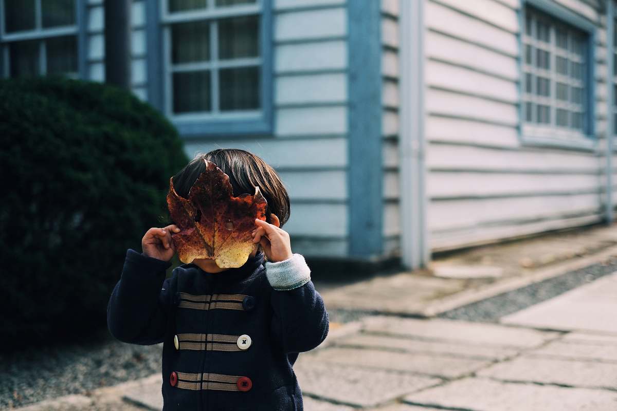 kid toddler covering his face with leaf human