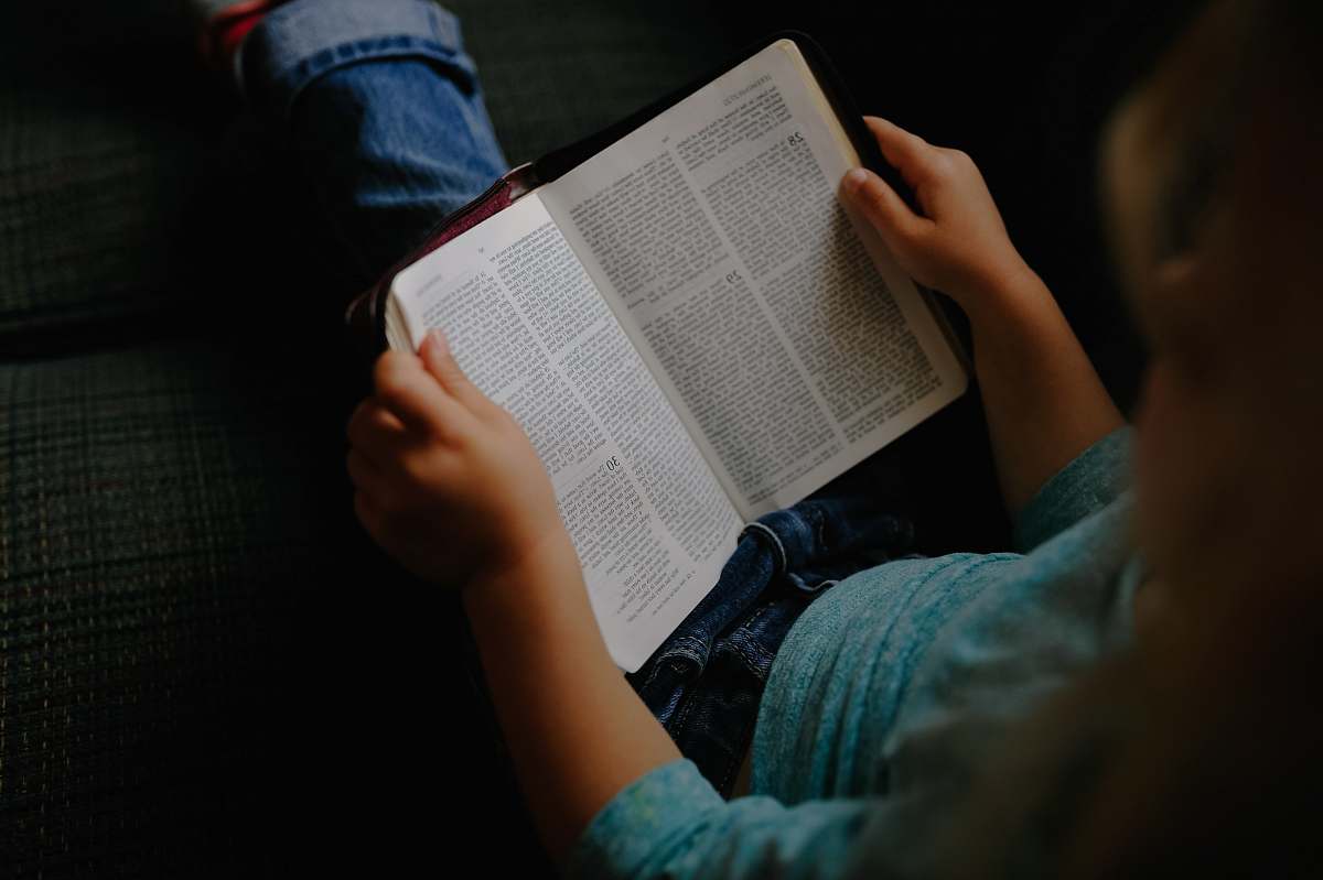 human toddler girl reading a book at vehicle backseat reading