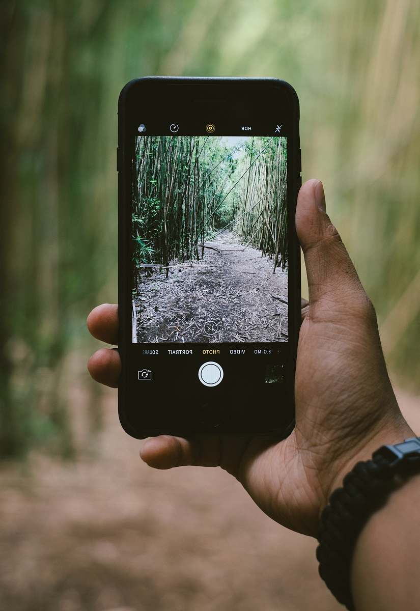 iphone person holding smartphone while taking photo of green plants mobile