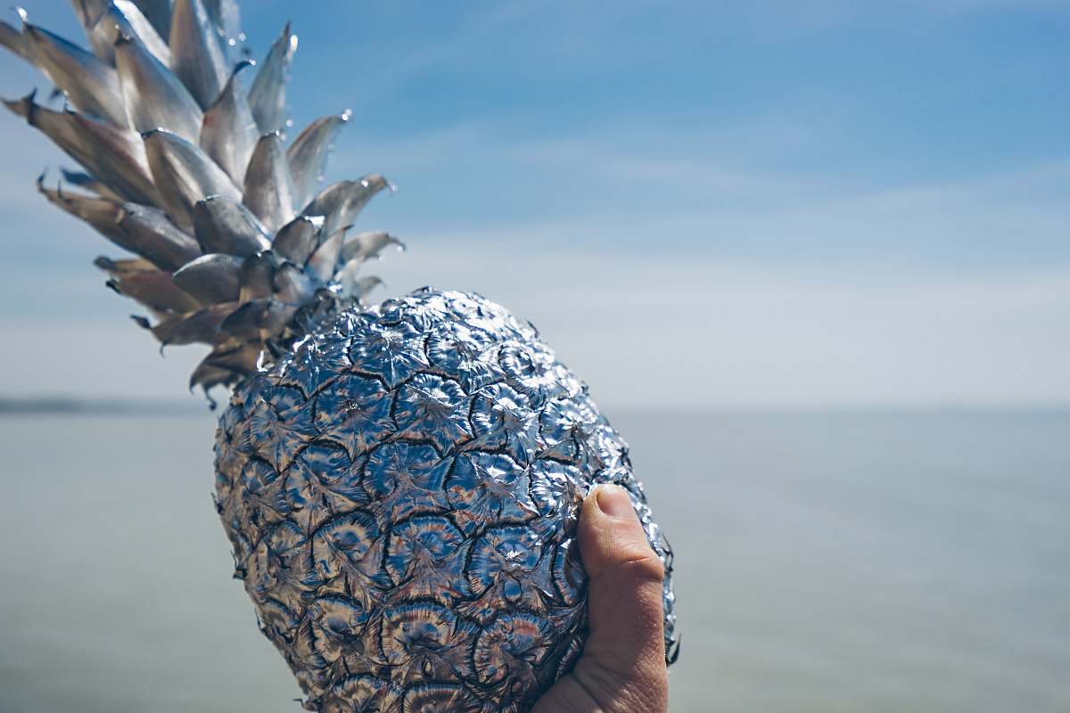 sphere artificial silver pineapple animal