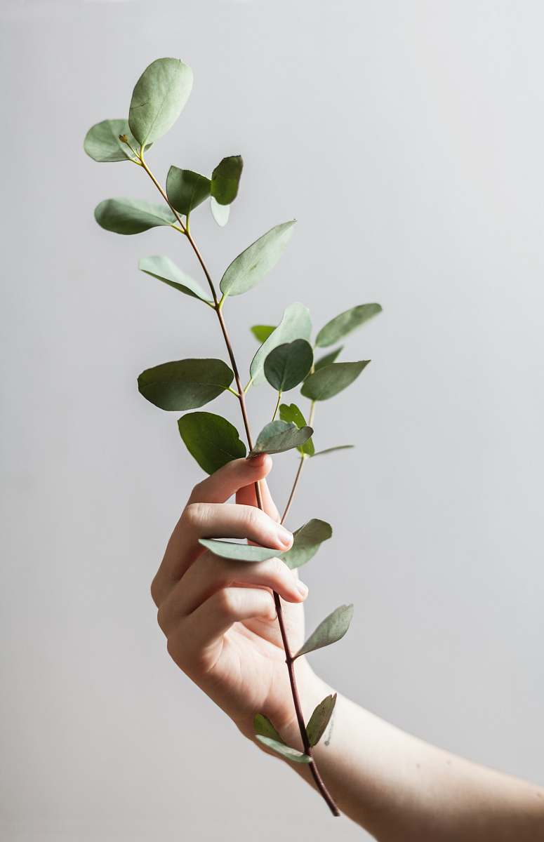 green person holding leaf plant flower