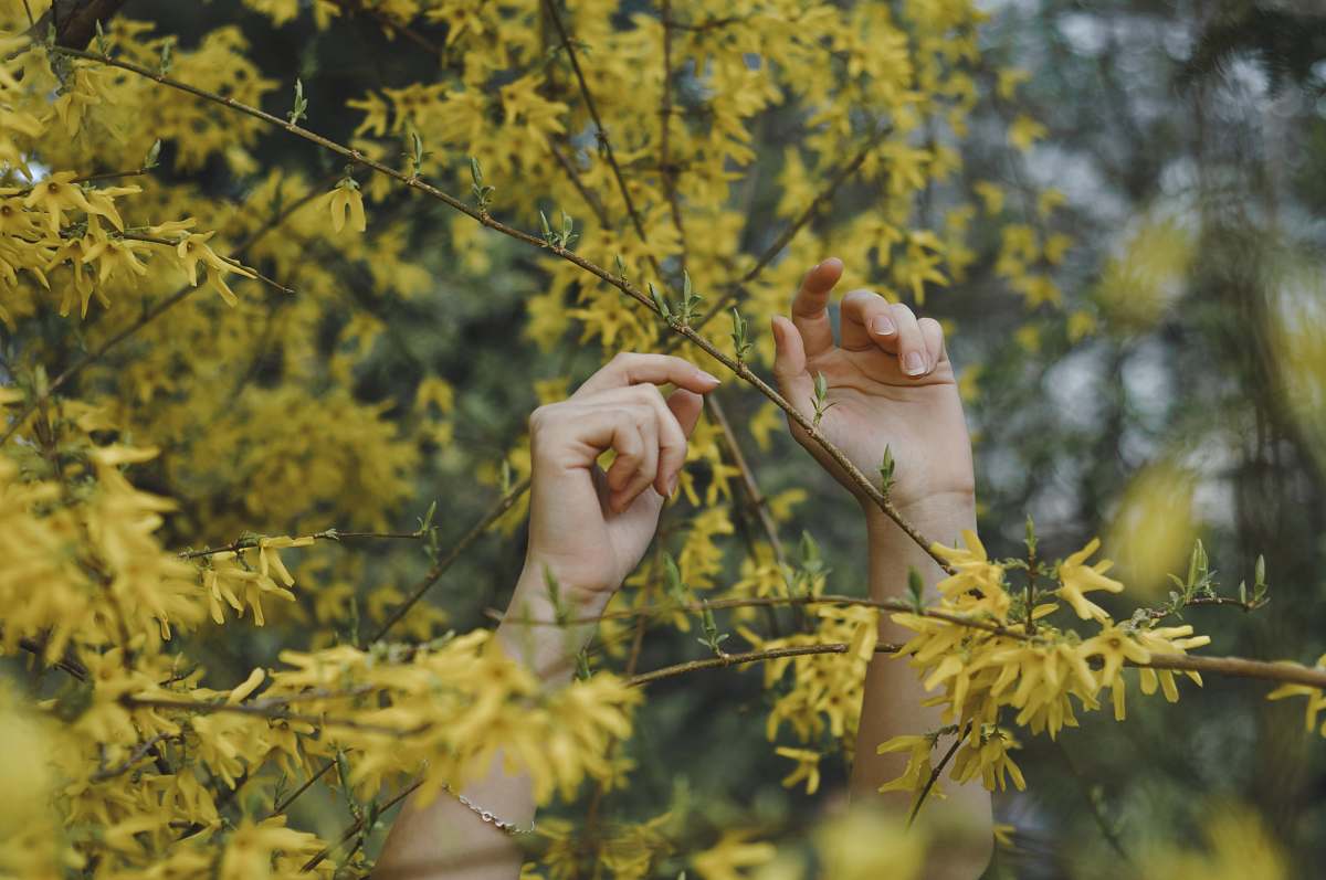 leaf person holding leaves and stalks tree