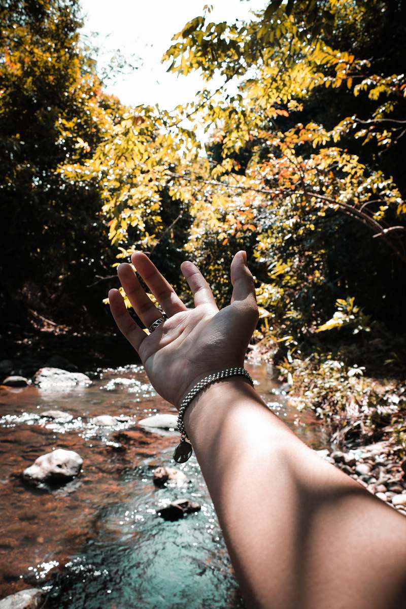 hand person's showing his left hand blossom