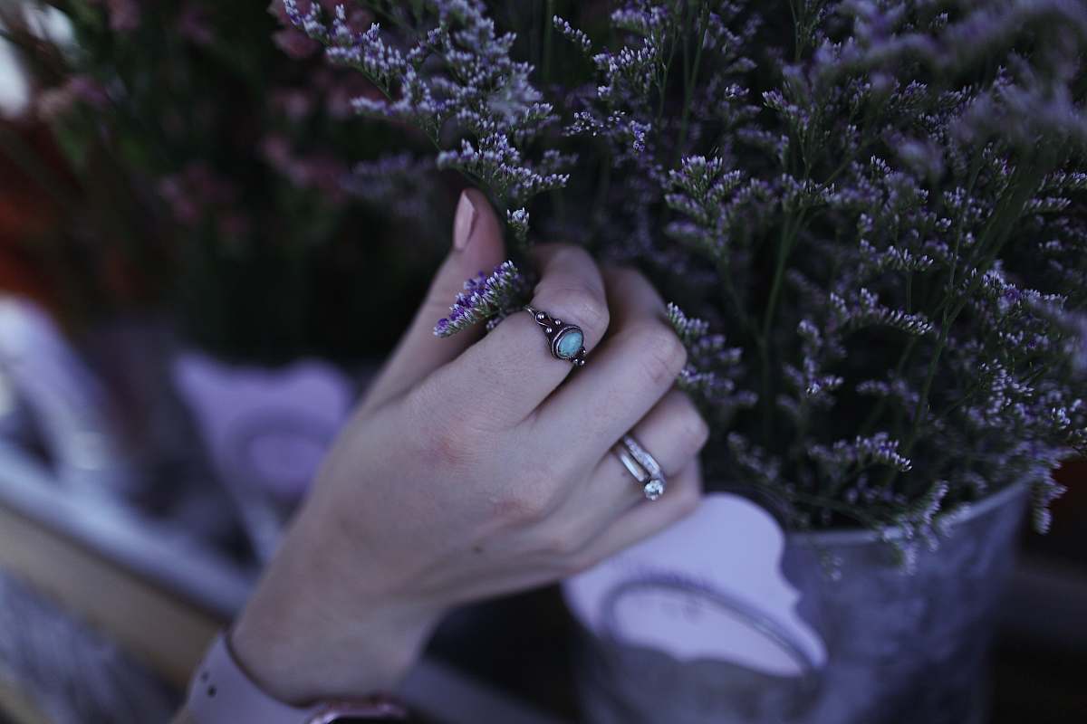 lavender person holding green leaf plant vase
